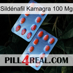 Sildénafil Kamagra 100 Mg 05